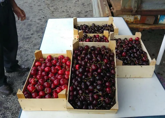 Casa Da Eira - Castanheiras Landhaus